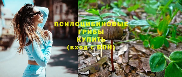 меф Горно-Алтайск