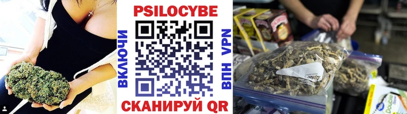 как найти   Красновишерск  Псилоцибиновые грибы GOLDEN TEACHER 